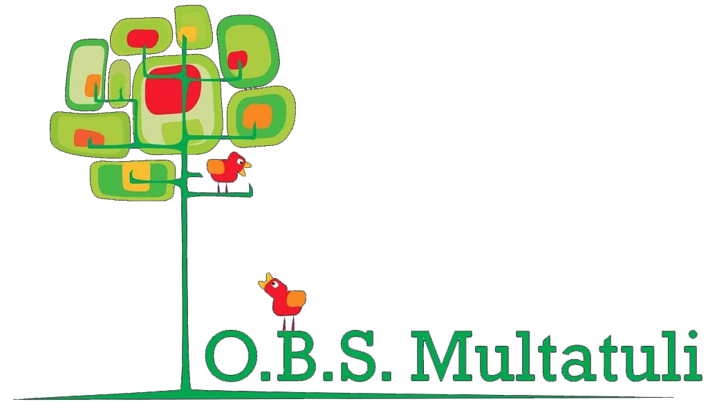 Logo Multatulischool